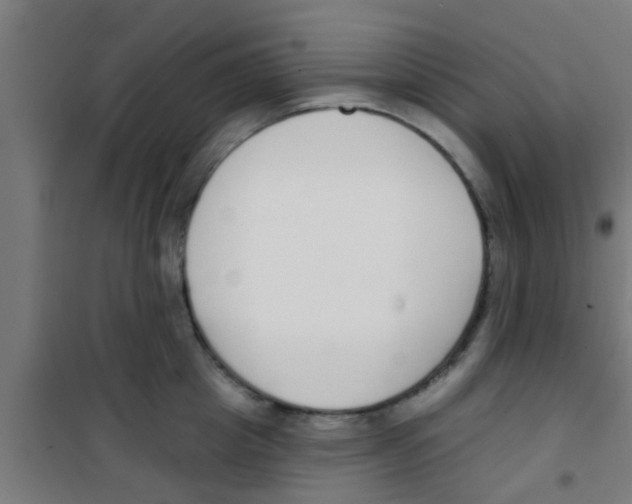 X0000100410857200807032035