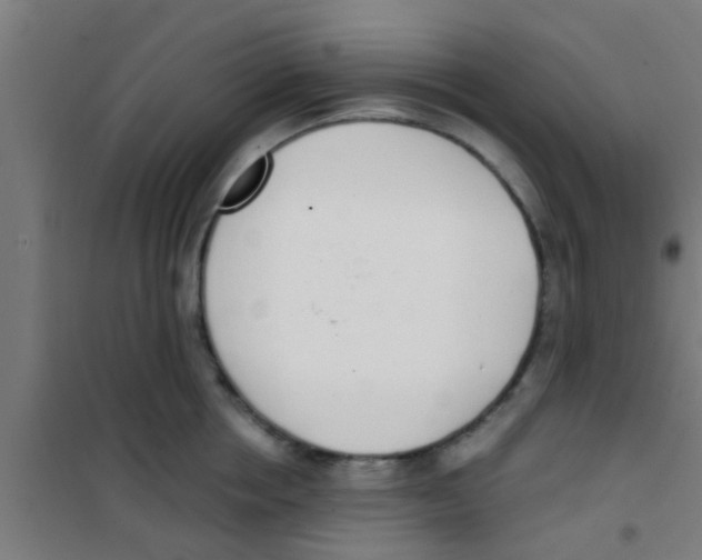 X0000100410858200807032035