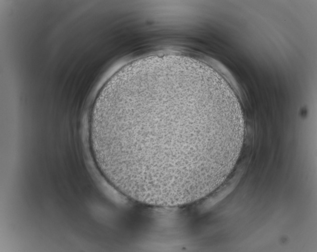 X0000100410859200807032035