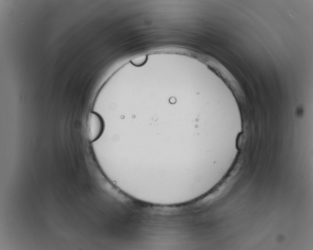 X0000100410860200807032036