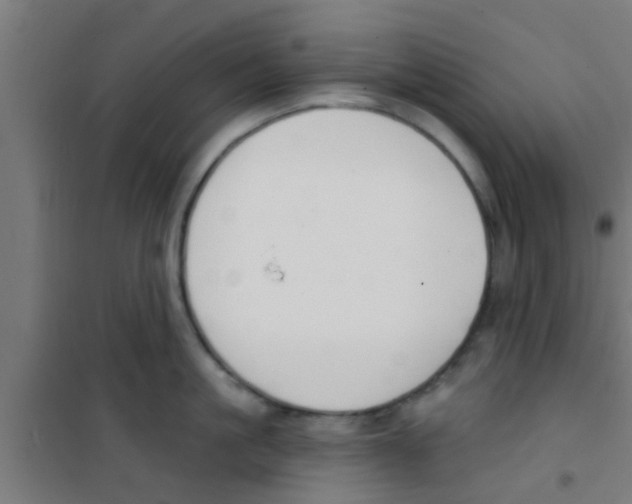 X0000100410861200807032036