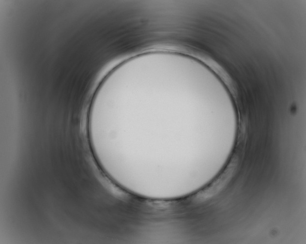 X0000100410862200807032036