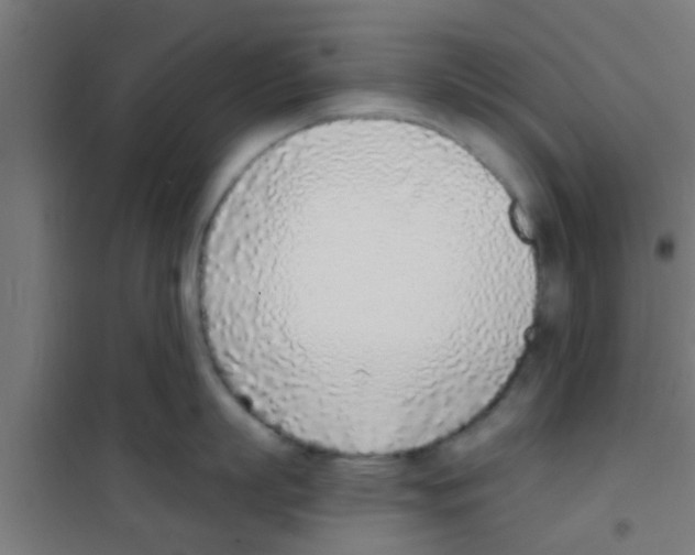 X0000100410863200807032036