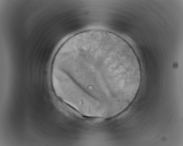 X0000100410864200807032036