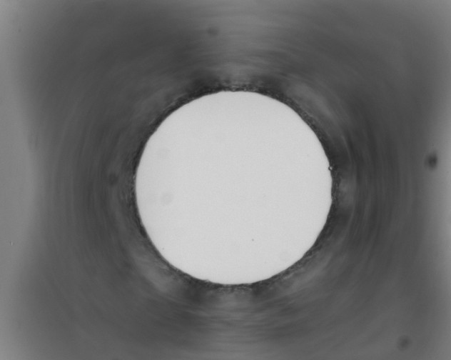 X0000100410865200807032035