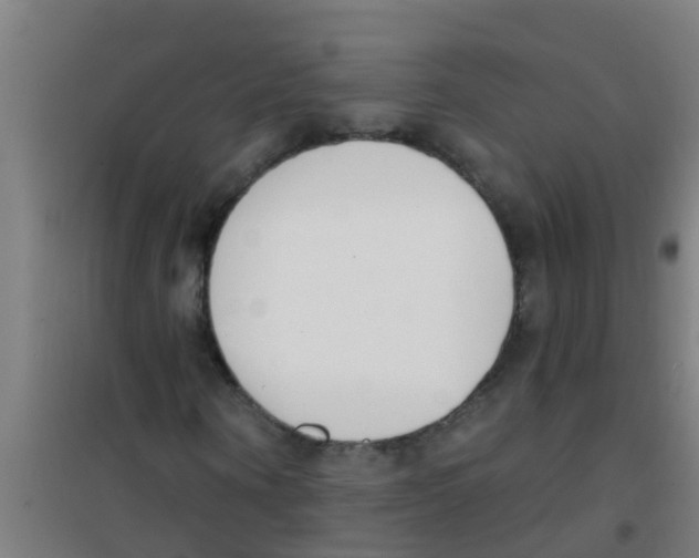 X0000100410866200807032035