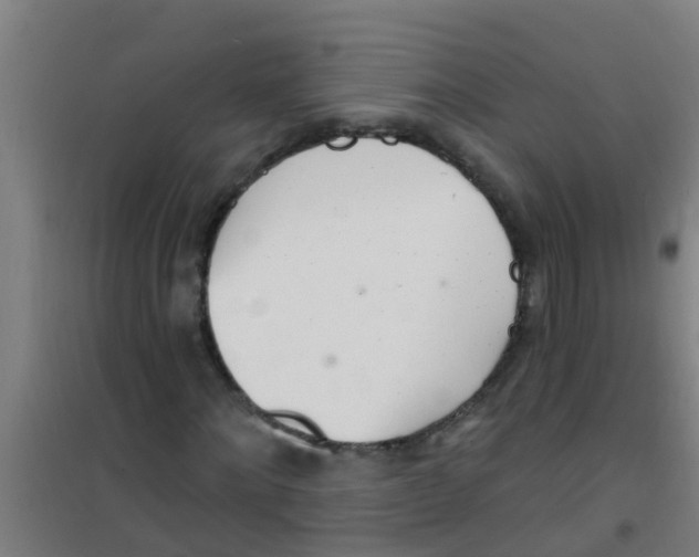 X0000100410868200807032035
