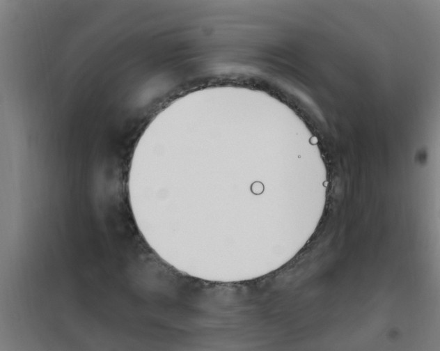X0000100410869200807032035