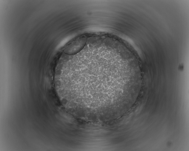 X0000100410871200807032035