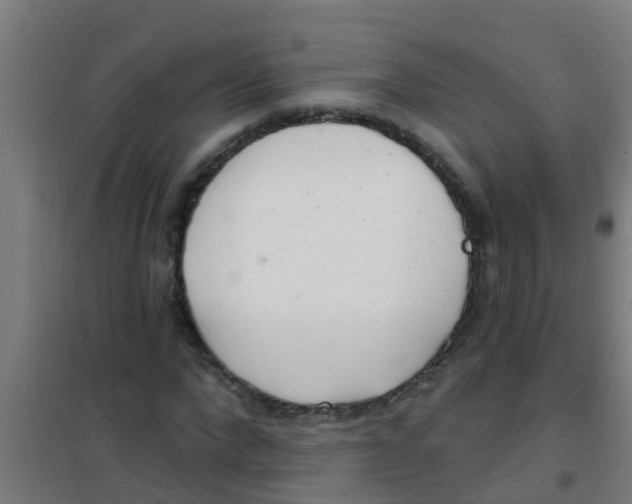 X0000100410872200807032035