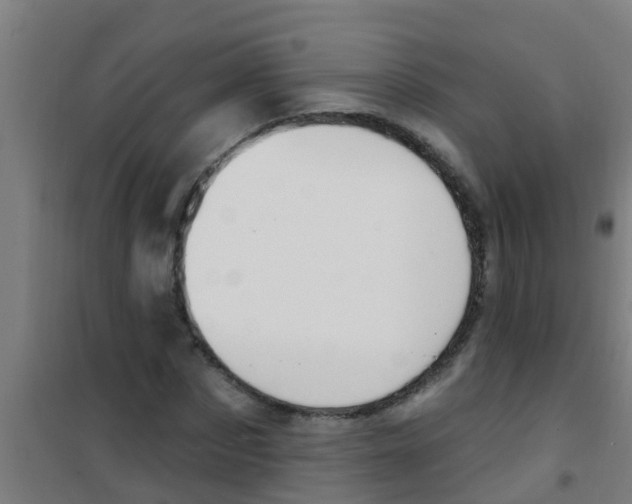 X0000100410873200807032035