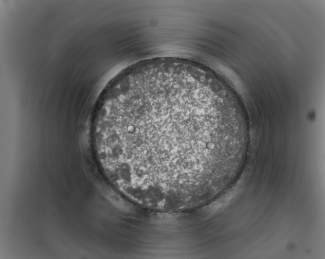 X0000100410875200807032035