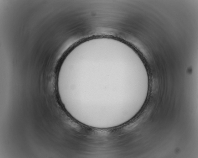 X0000100410878200807032035