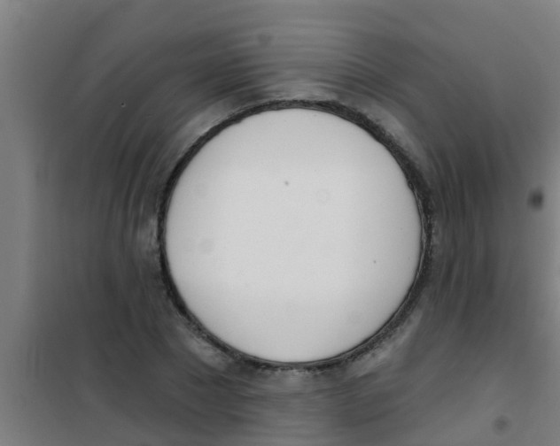 X0000100410881200807032035