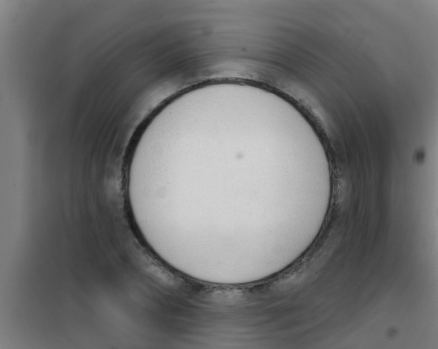 X0000100410882200807032035