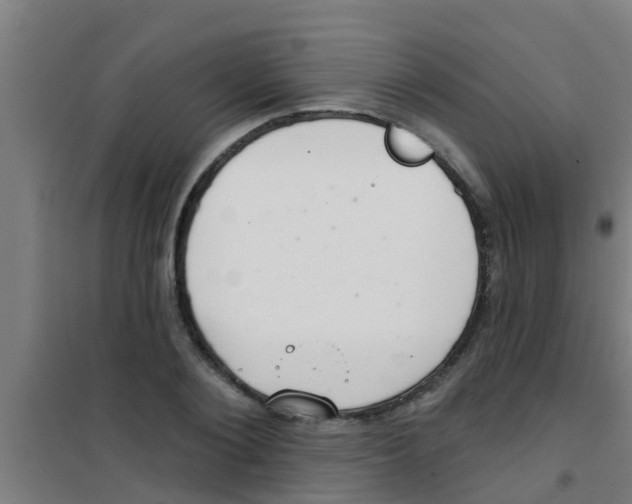 X0000100410884200807032035