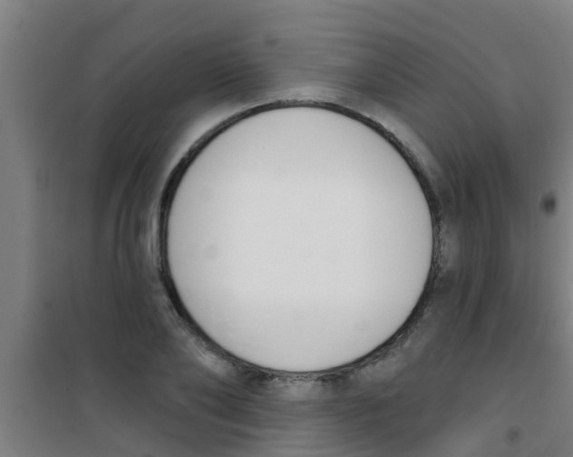 X0000100410886200807032035