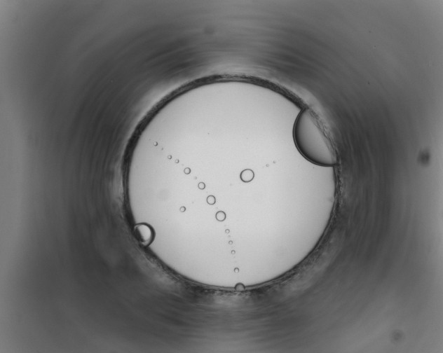 X0000100410887200807032035