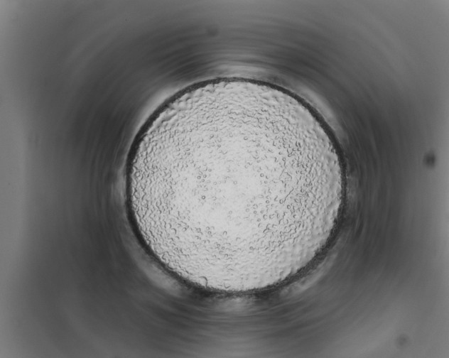 X0000100410891200807032035