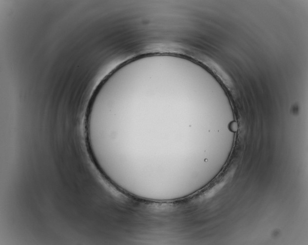 X0000100410893200807032035