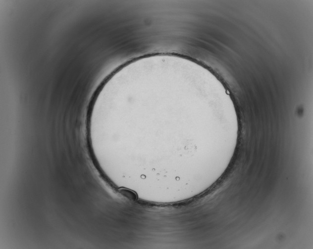 X0000100410894200807032034