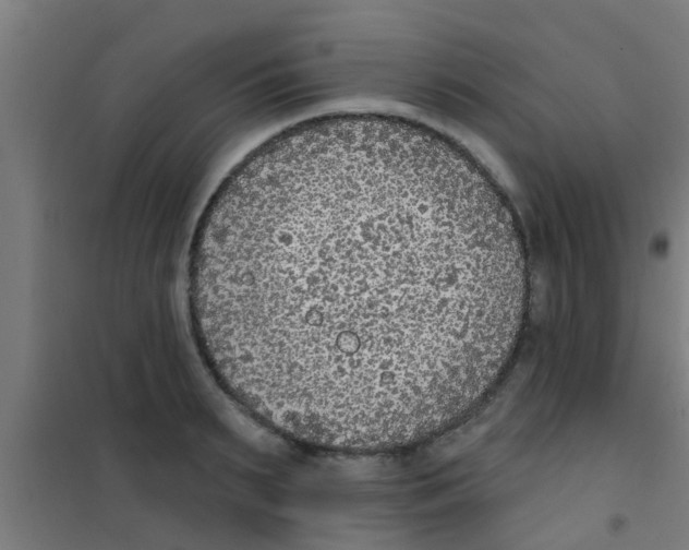 X0000100410895200807032034