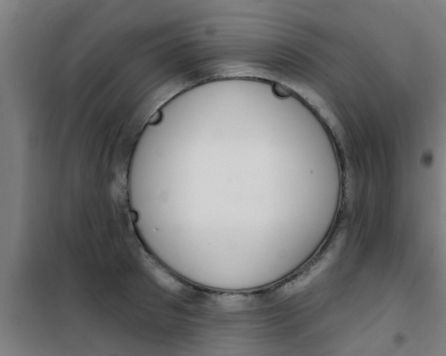 X0000100410897200807032034