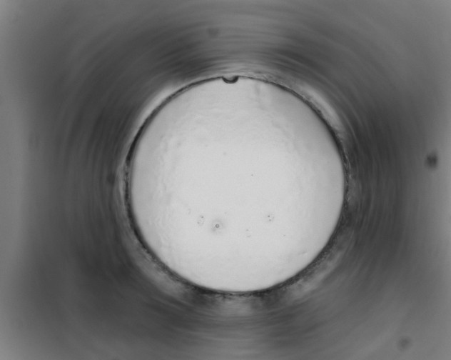 X0000100410899200807032034