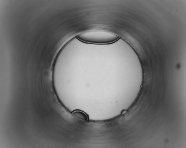 X0000100410900200807032034