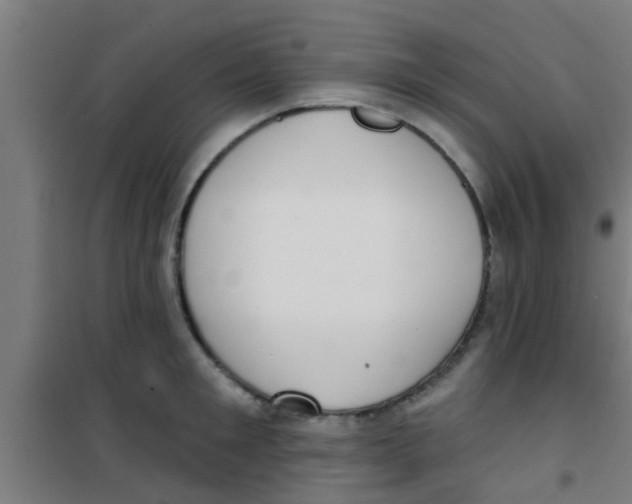 X0000100410901200807032034