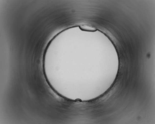 X0000100410902200807032034