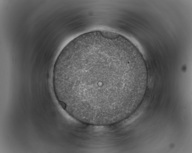 X0000100410903200807032034