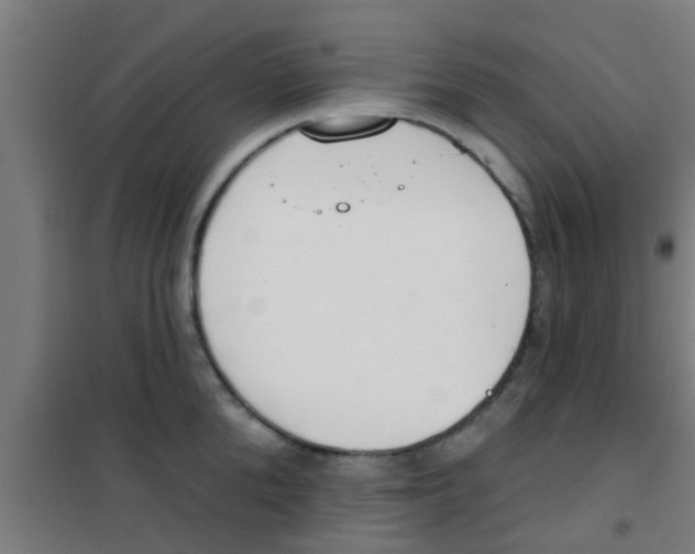X0000100410904200807032034