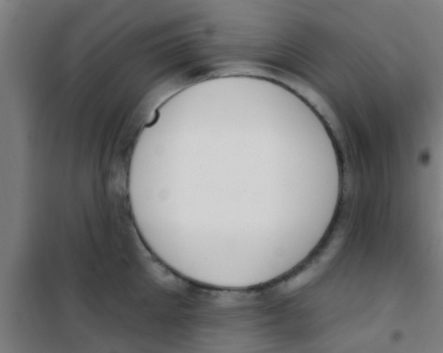 X0000100410905200807032034
