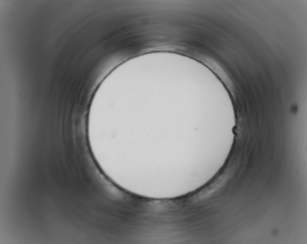 X0000100410906200807032034