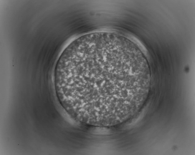 X0000100410907200807032034