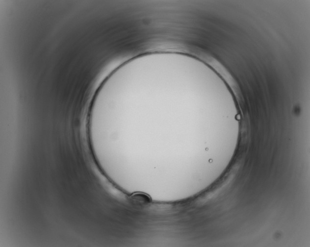 X0000100410909200807032034