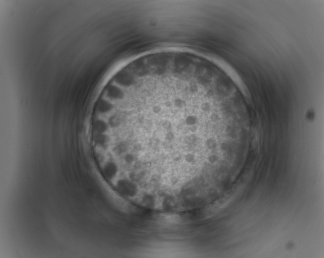 X0000100410911200807032034