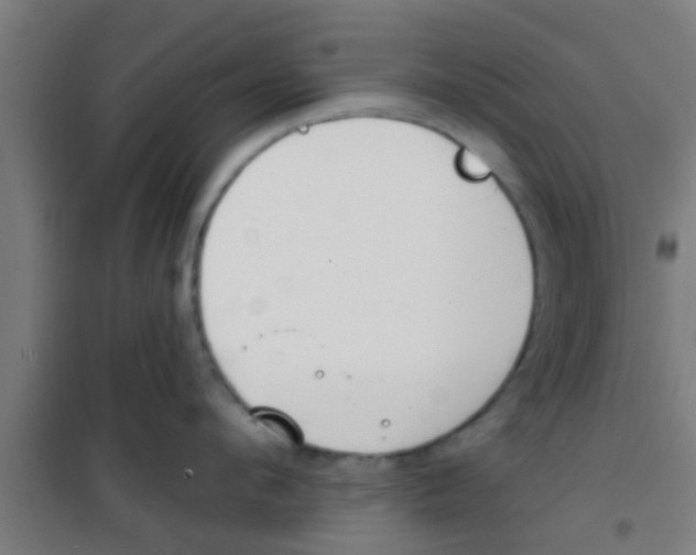 X0000100410912200807032034