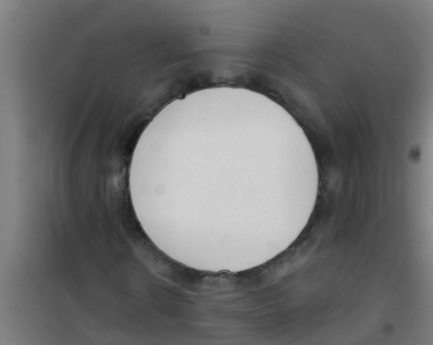 X0000100410914200807032034