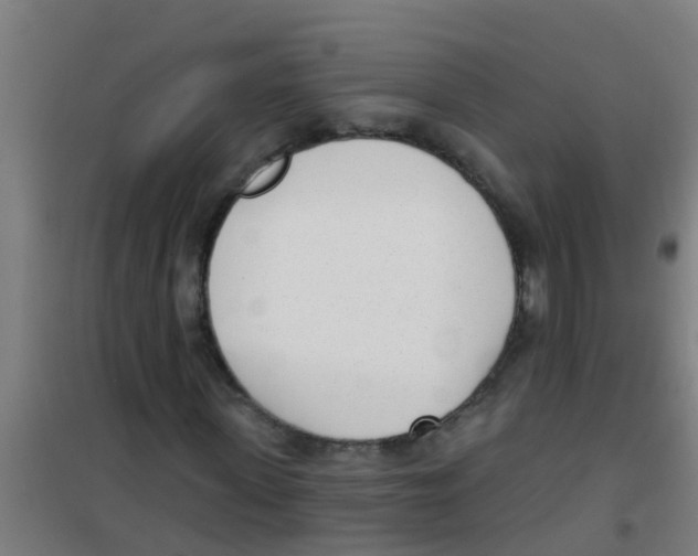 X0000100410915200807032034