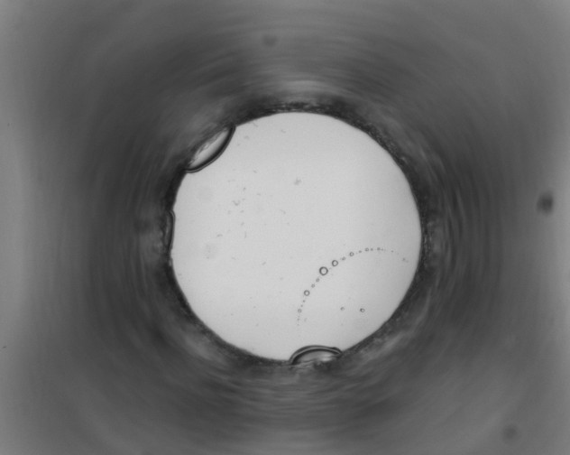 X0000100410916200807032034