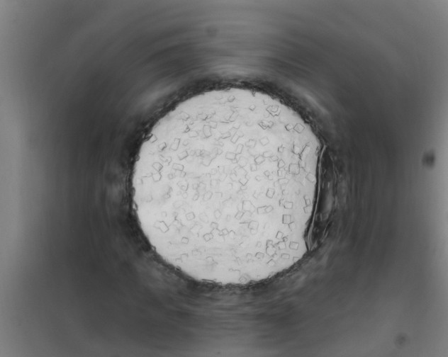 X0000100410917200807032034