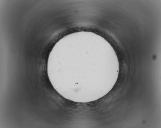 X0000100410918200807032034