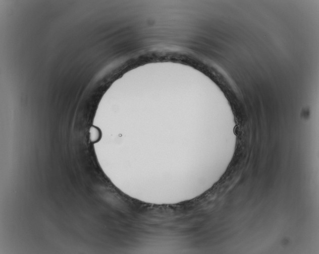 X0000100410919200807032034