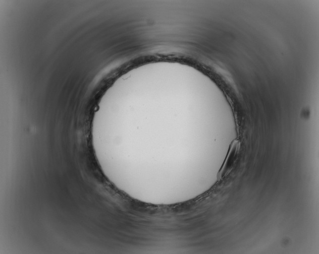 X0000100410920200807032034