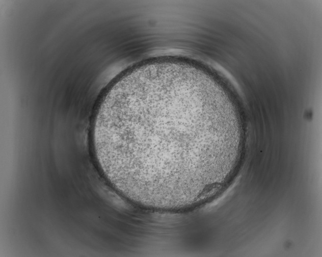 X0000100410921200807032034