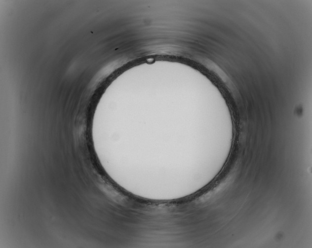 X0000100410922200807032034