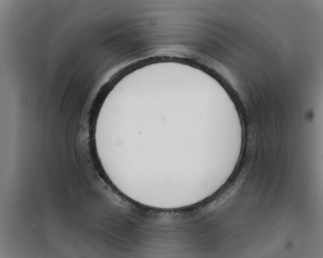 X0000100410923200807032034