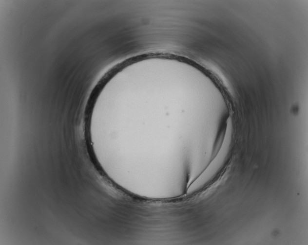 X0000100410924200807032034